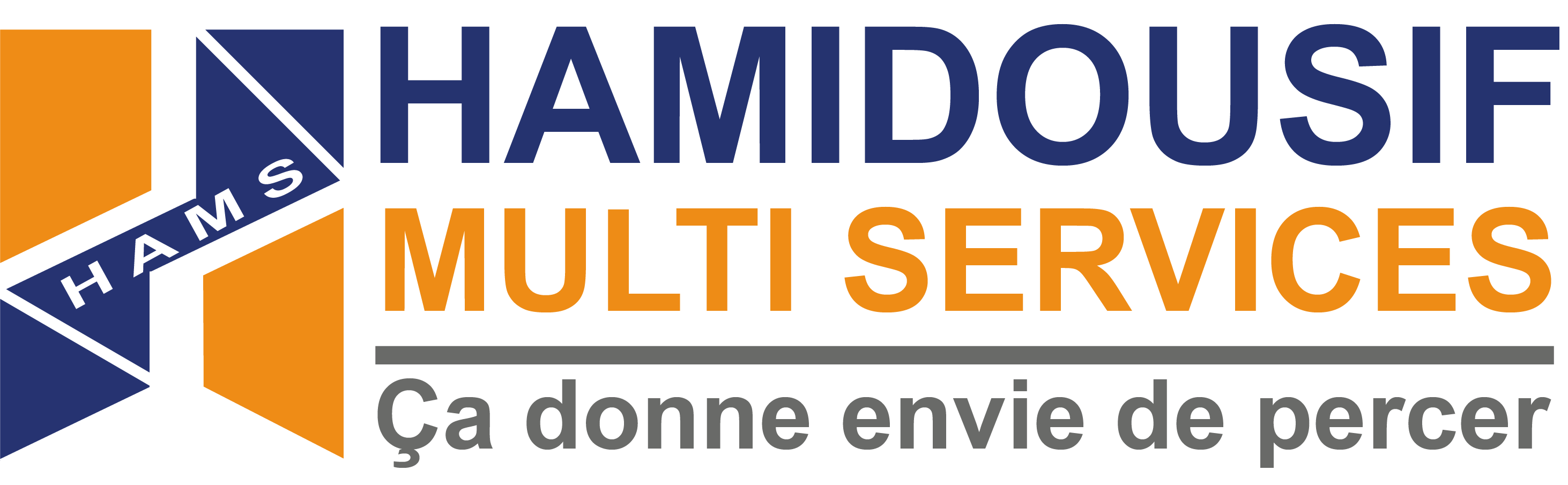 LOGO HAMIDOUSIF